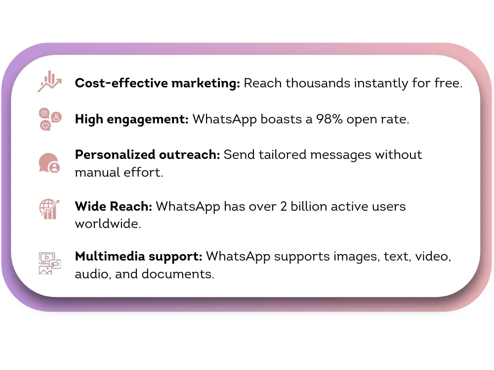 Send Bulk WhatsApp Messages
